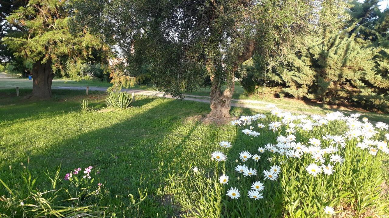 Casa De Campo Las Olivas 圣拉斐尔 外观 照片
